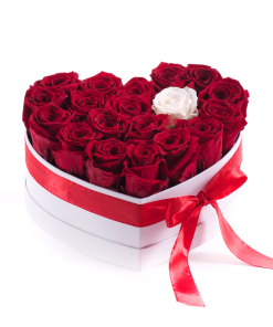 KUTIJA SA CRVENIM RUŽAMA I JEDNOM BELOM RUŽOM-021