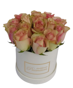 ROZE RUŽE U BELOJ KUTIJI-034