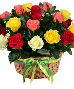 ŠARENE RUŽE U KORPI-065