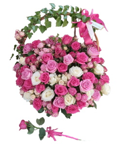 101 RUŽA I MINI RUŽA