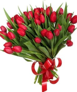 CRVENE LALE U BUKETU 080