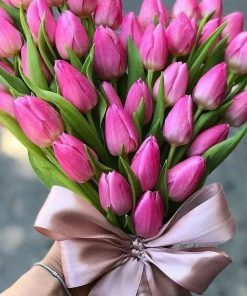 ROZE LALE U OBLIKU SRCA 077