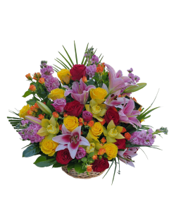 KORPA SA RAZNOVRSNIM CVEĆEM