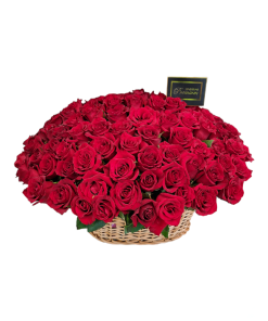 101 CRVENA RUŽA U KORPI BEZ DRŠKE