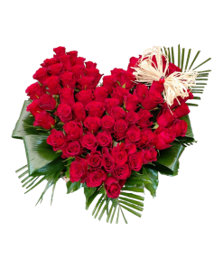 CRVENE RUŽE U KORPI