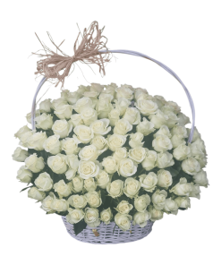 101 BELA RUŽA U KORPI