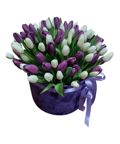 LJUBIČASTE I BELE LALE U KUTIJI