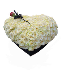 201 BELA RUŽA U KUTIJI