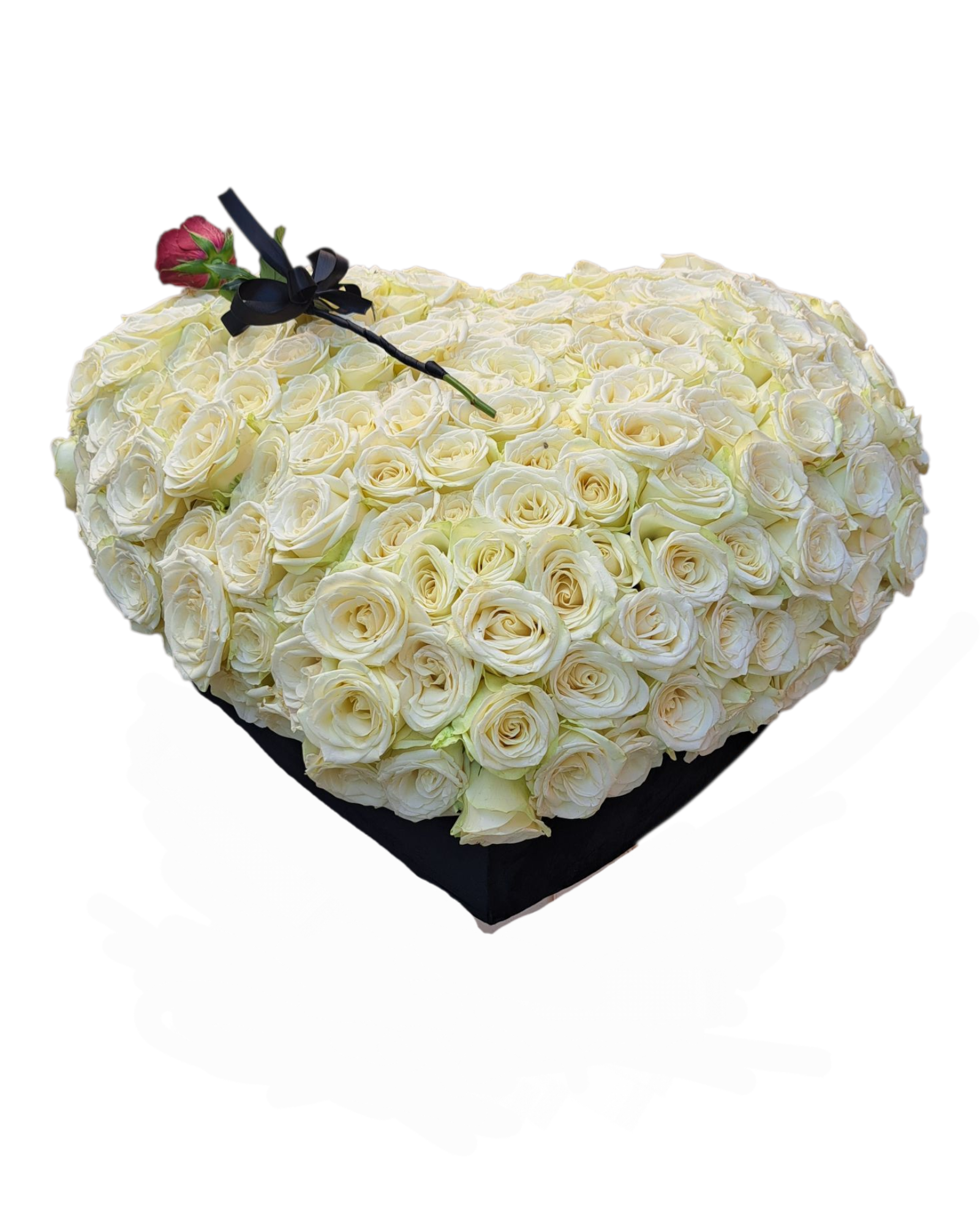 201 bela ruza u kutiji