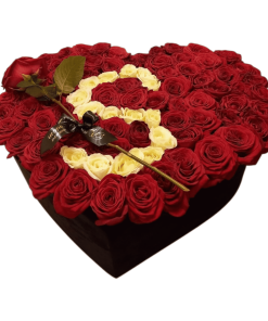 101 CRVENA RUŽA U SRCU