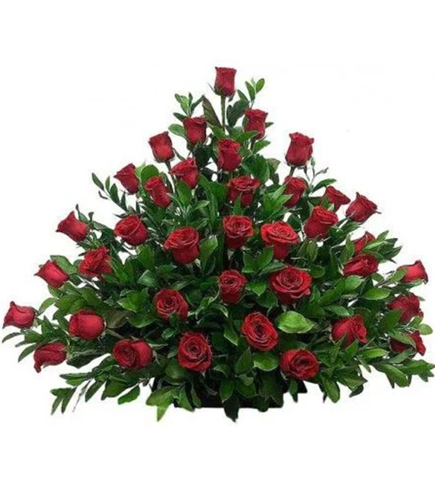 Suza-Za-Sahrane-–-Crvena-Ruza.jpg