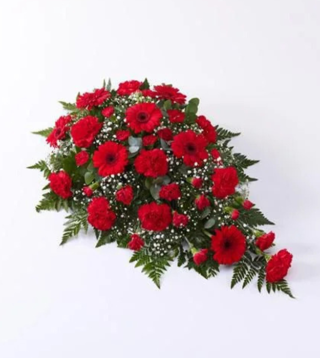 Suza-Za-Sahrane-–-Crveni-Gerber-Karanfil-I-Gipsofila.jpg